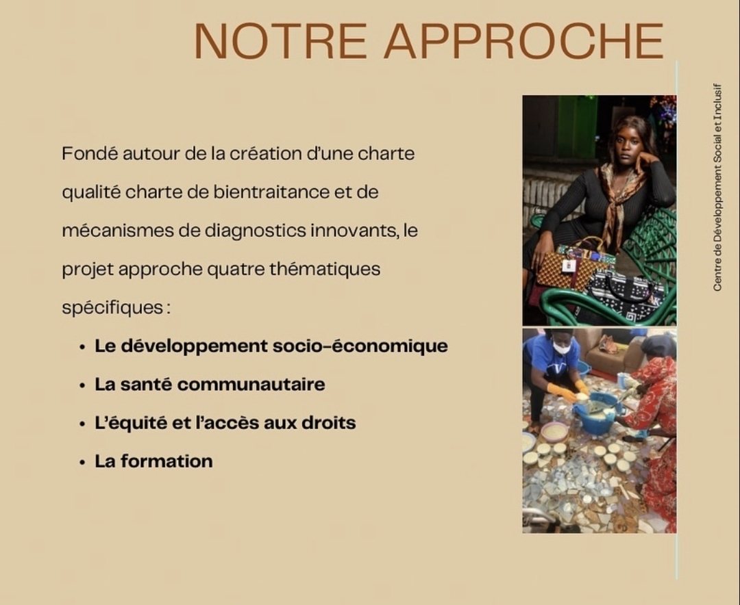 Notre approche : les quatre thématiques du CDSI